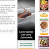114100 - Unmoderated Funny Advertising Fail Pictures - 9