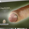 72382 - New Funny Advertising Fail Pictures - 5