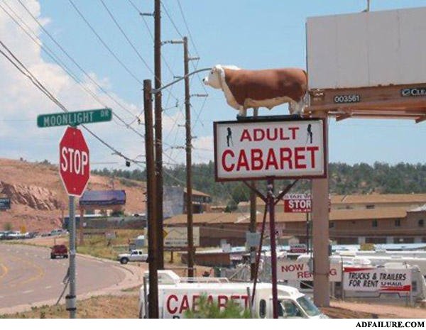 Adult_cow_cabaret